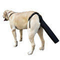 Barkable Tail Guard — Wound Protection Sleeve