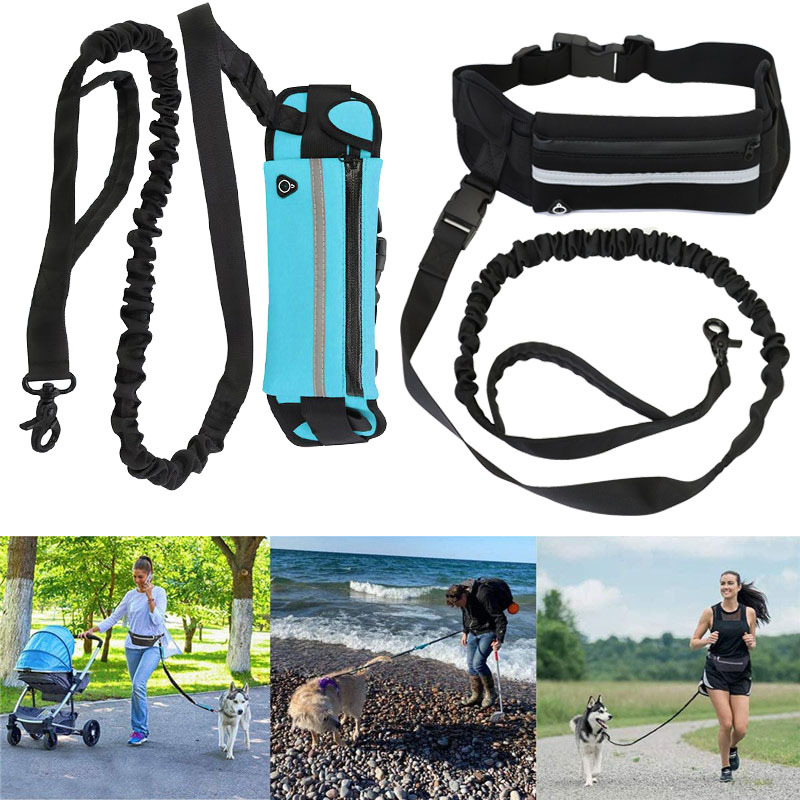 Barkable Purse Leash