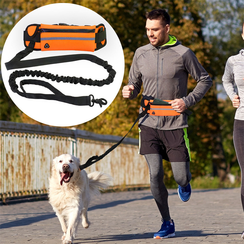 Barkable Purse Leash