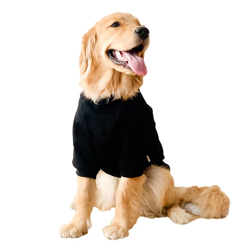 Barkable Fall Dog Sweater — Big Breeds, 55-66 lb