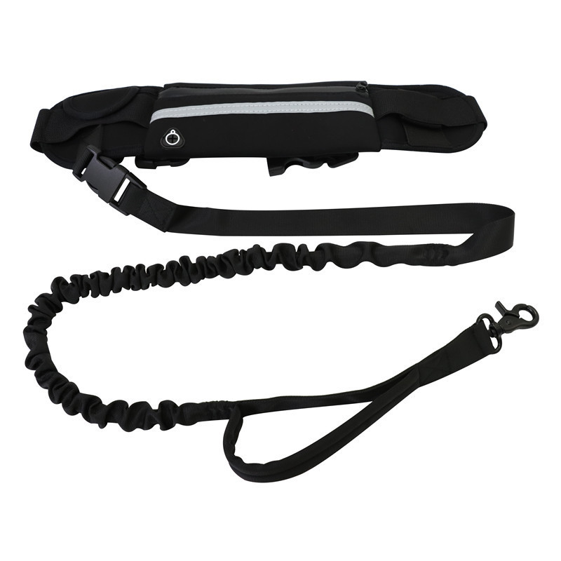 Barkable Purse Leash