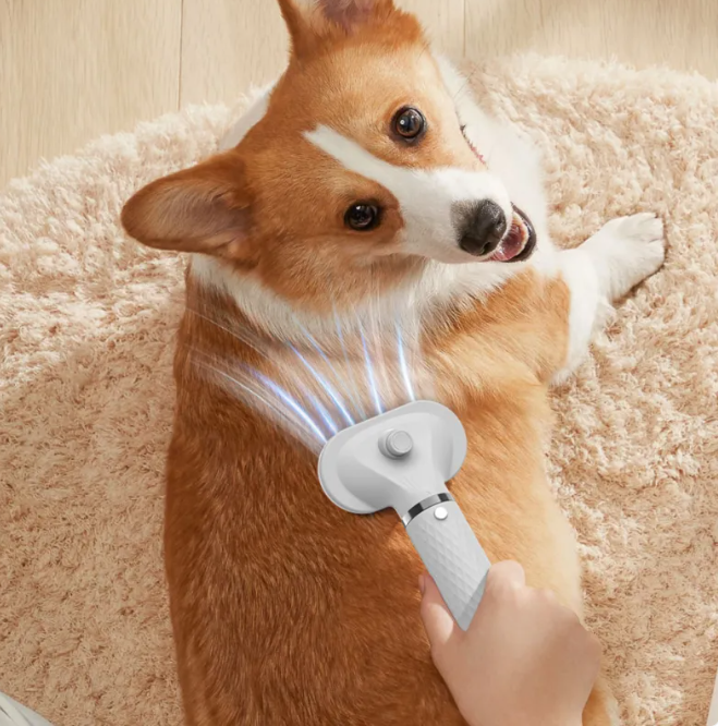 Barkable PawDry 2-in-1 Pet Dryer & Grooming Brush