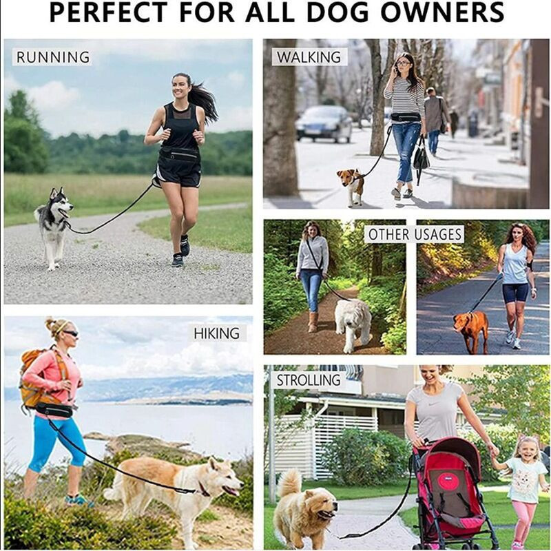Barkable Purse Leash