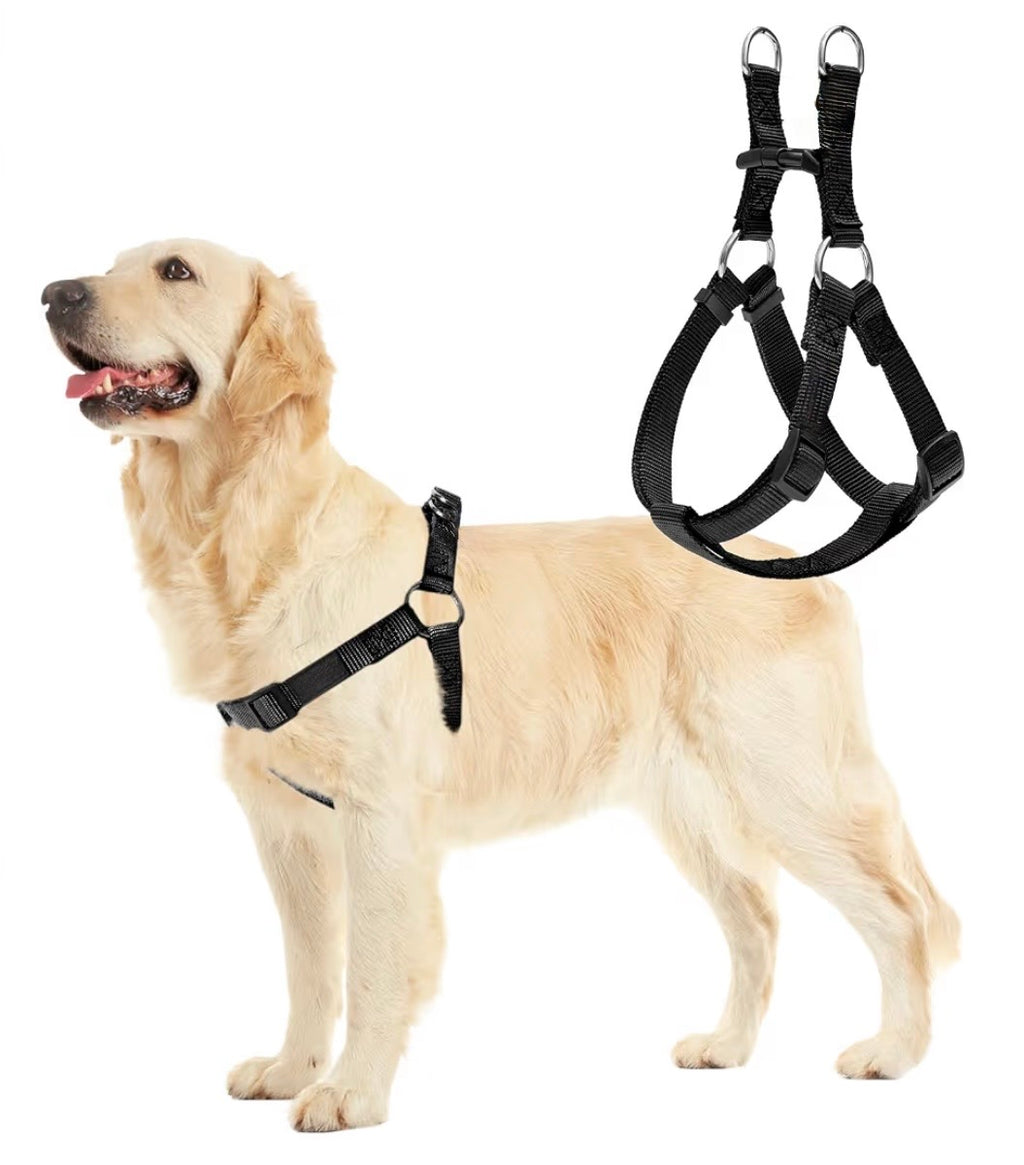 Barkable Harness & Leash Set