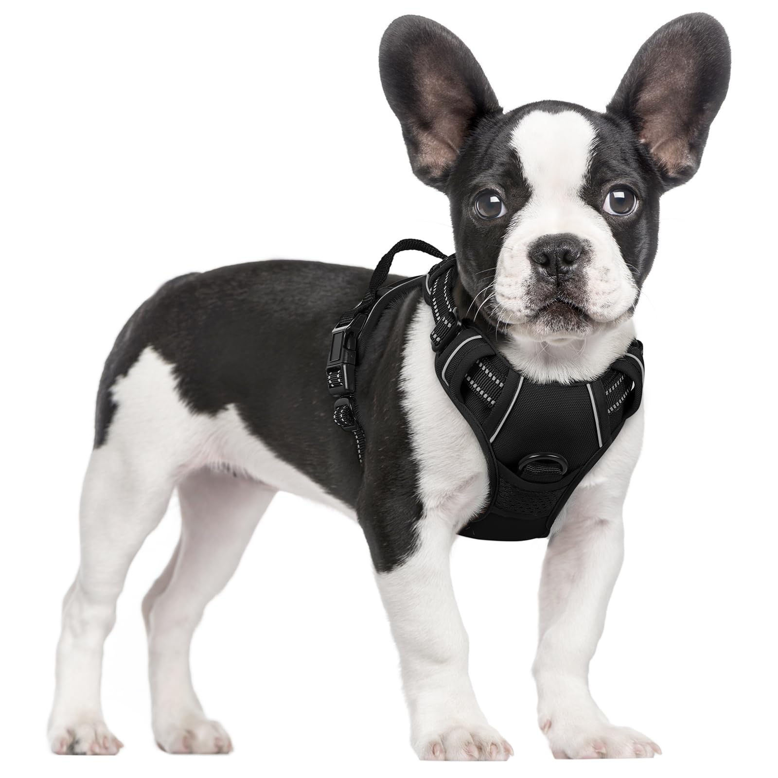 Barkable Oxford Vest Harness & Leash Set