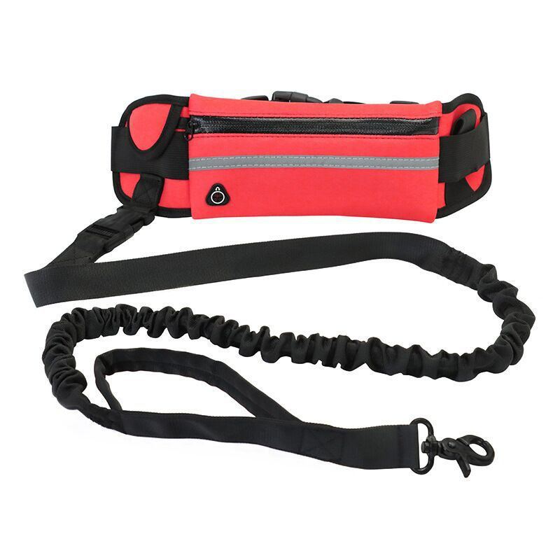Barkable Purse Leash