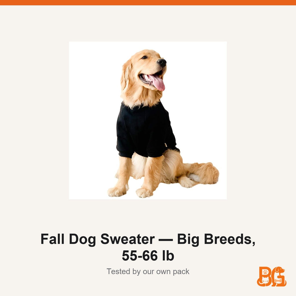 Barkable Fall Dog Sweater — Big Breeds, 55-66 lb