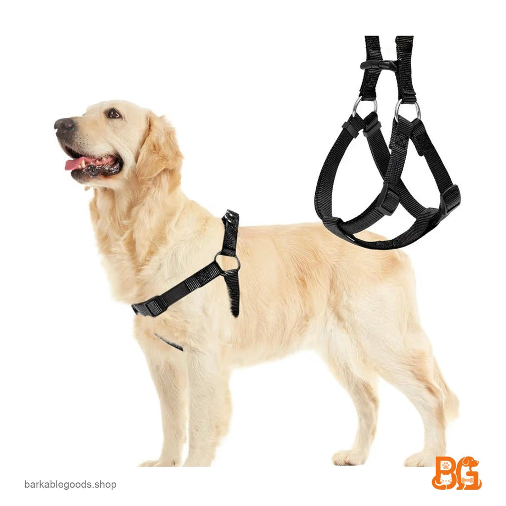 Barkable Harness & Leash Set