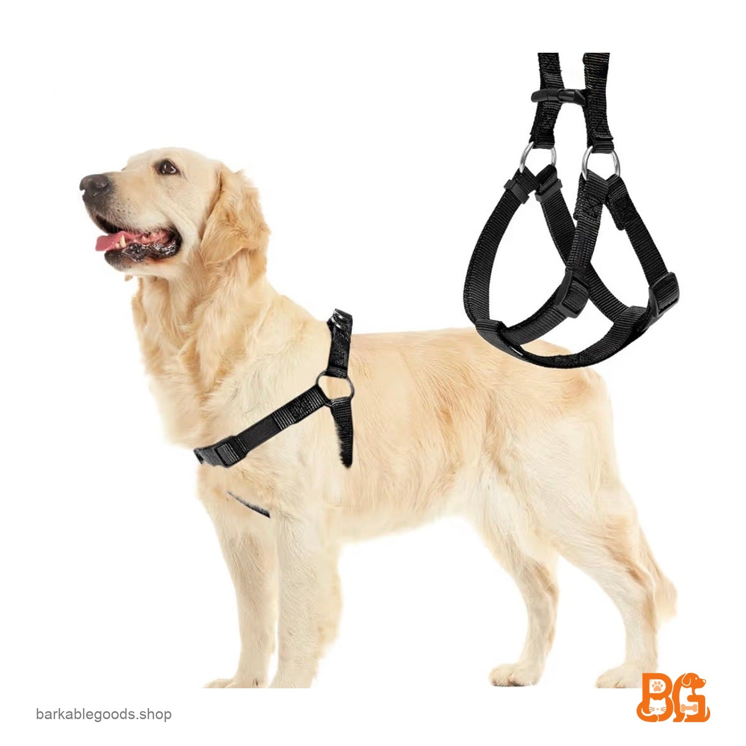 Barkable Harness & Leash Set
