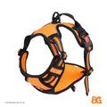 Barkable Oxford Vest Harness & Leash Set