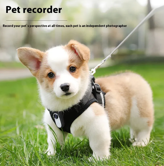 Barkable PawCam Mini Home Camera