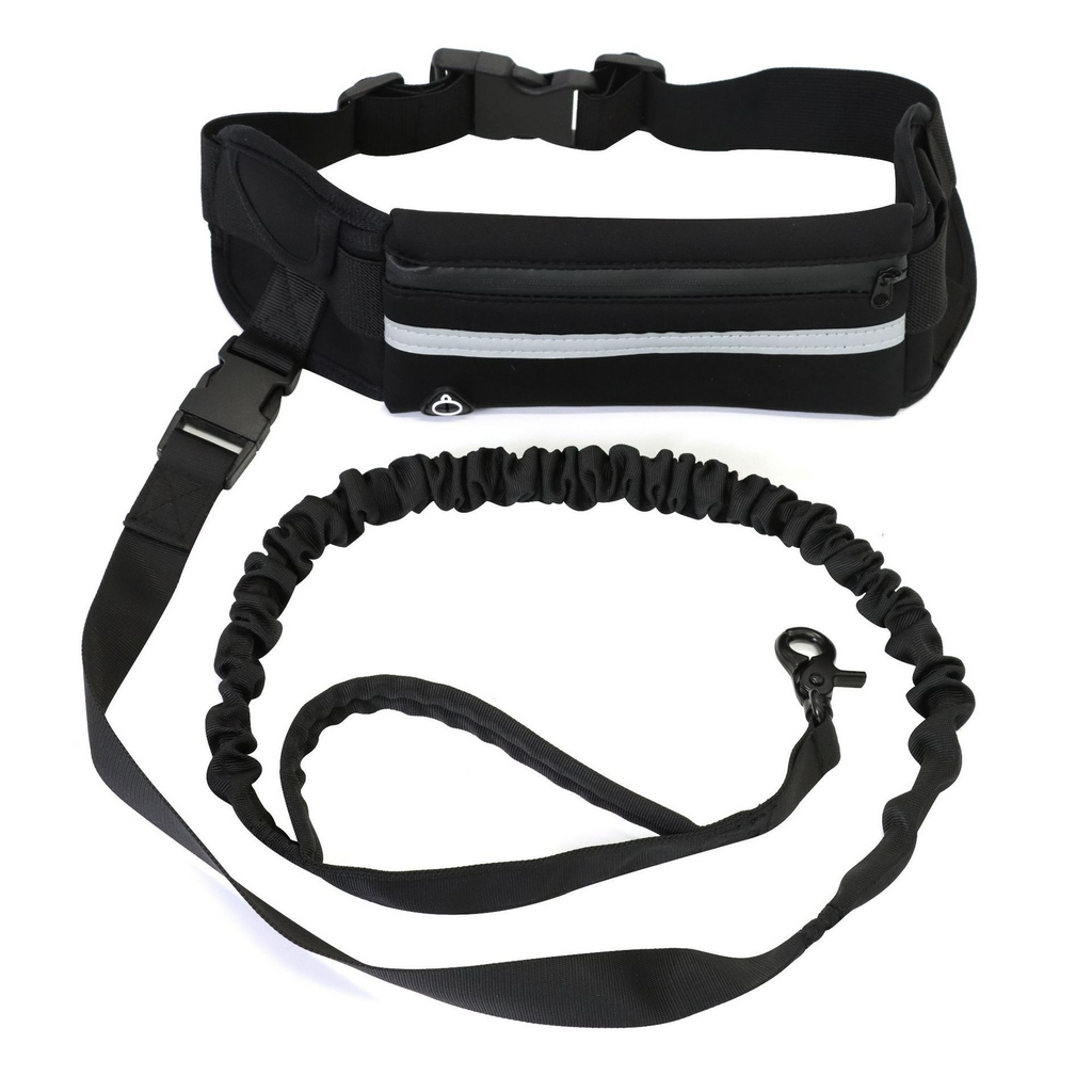 Barkable Purse Leash