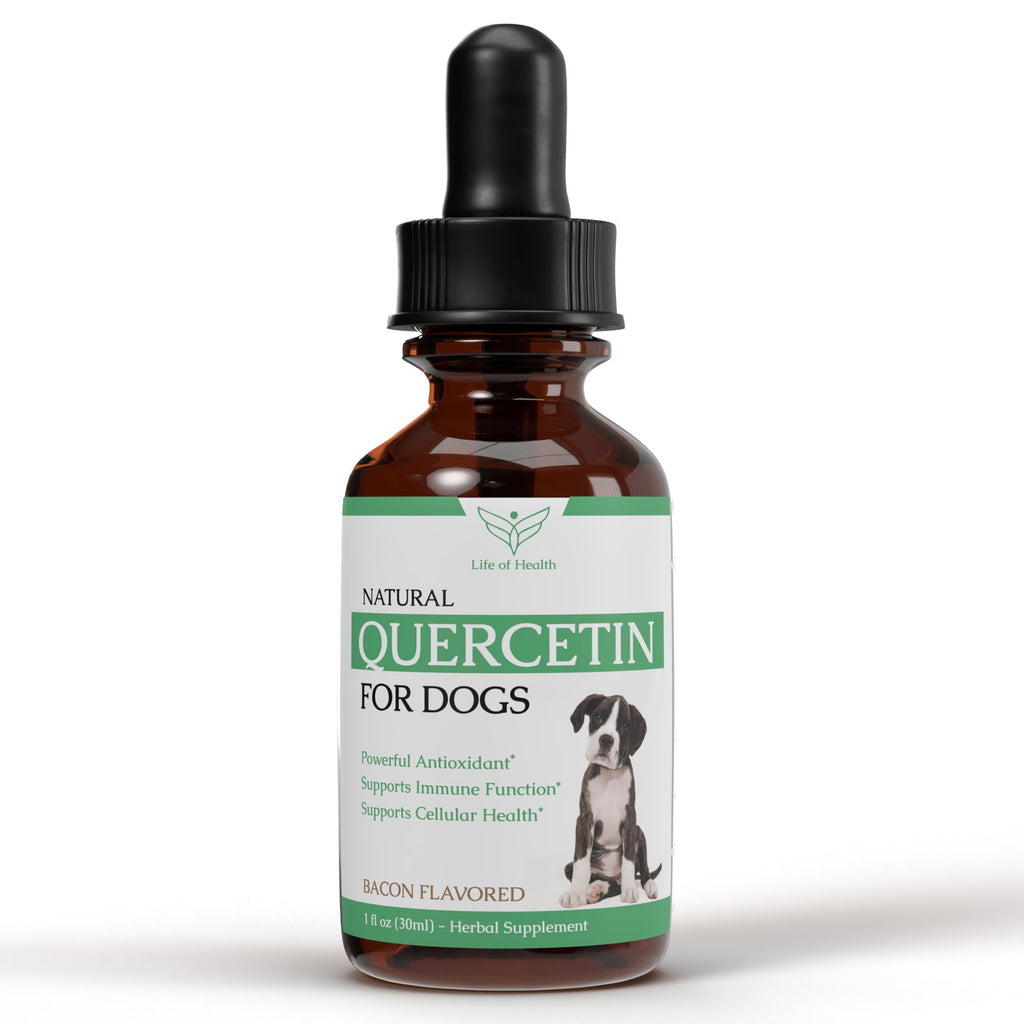 Quercetin for Dogs — Allergy Support Liquid, 1 fl oz