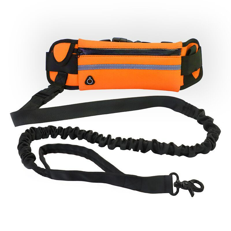 Barkable Purse Leash