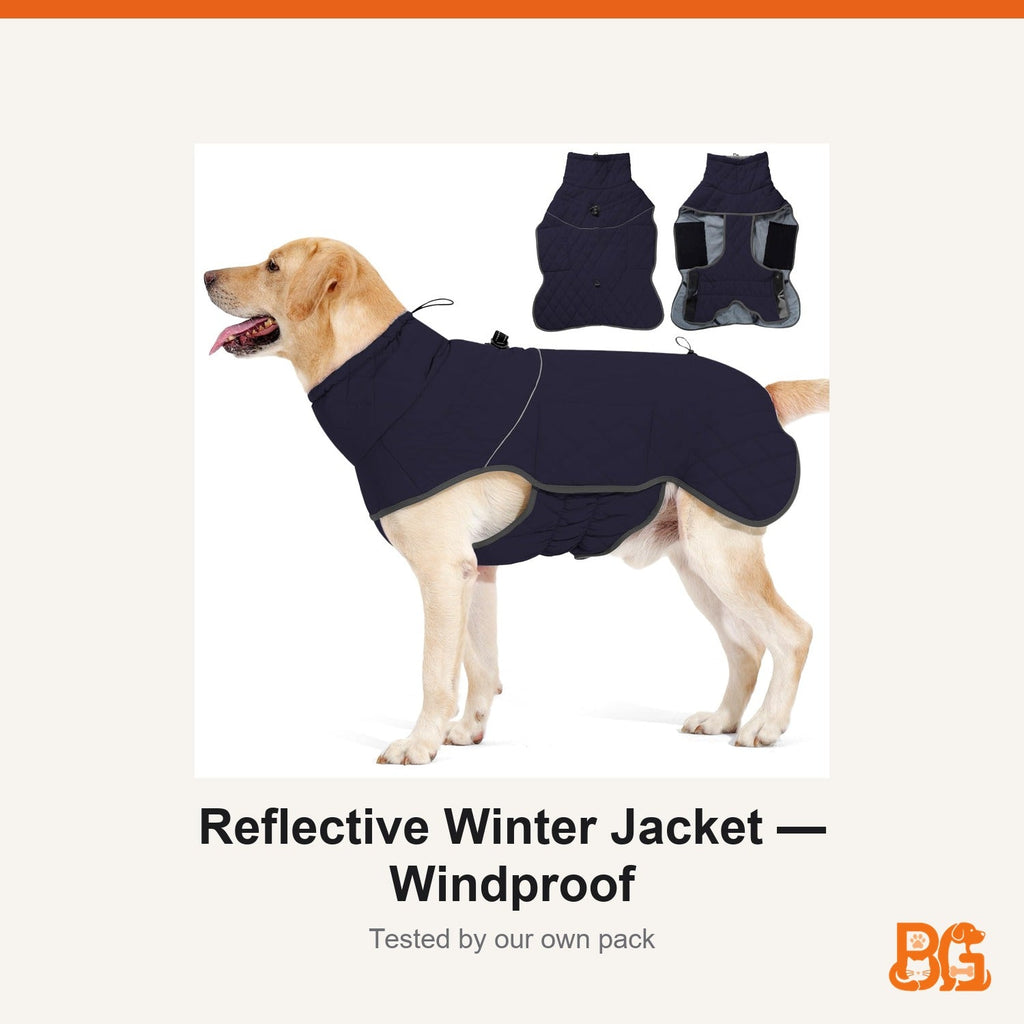 Barkable Reflective Winter Jacket — Windproof