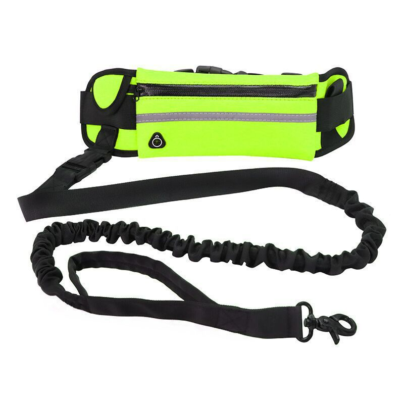 Barkable Purse Leash