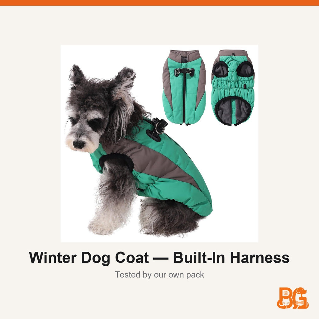 Barkable Winter Dog Coat — Built-In Harness